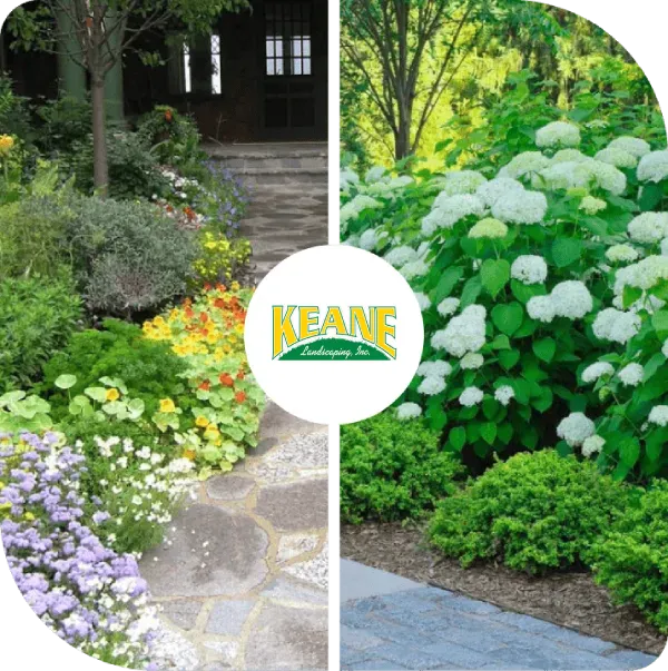 About lawn maintenance near me