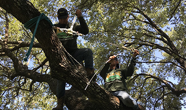 Gallery image 19 — lawn maintenance near me