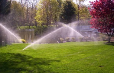 Gallery image 20 — lawn maintenance near me