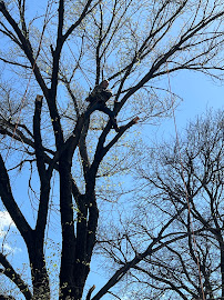 About reliable landscaping company GARCIA LANDSCAPING SERVICES LLC