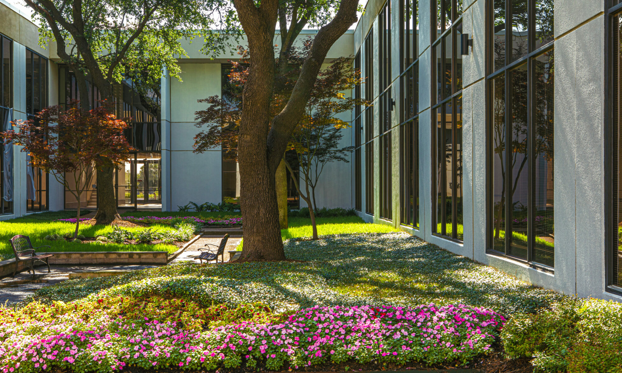 Gallery image 3 — timeless landscape design DFW