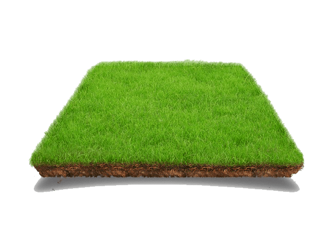 Gallery image 4 — organic fire ant control in Lake Highlands