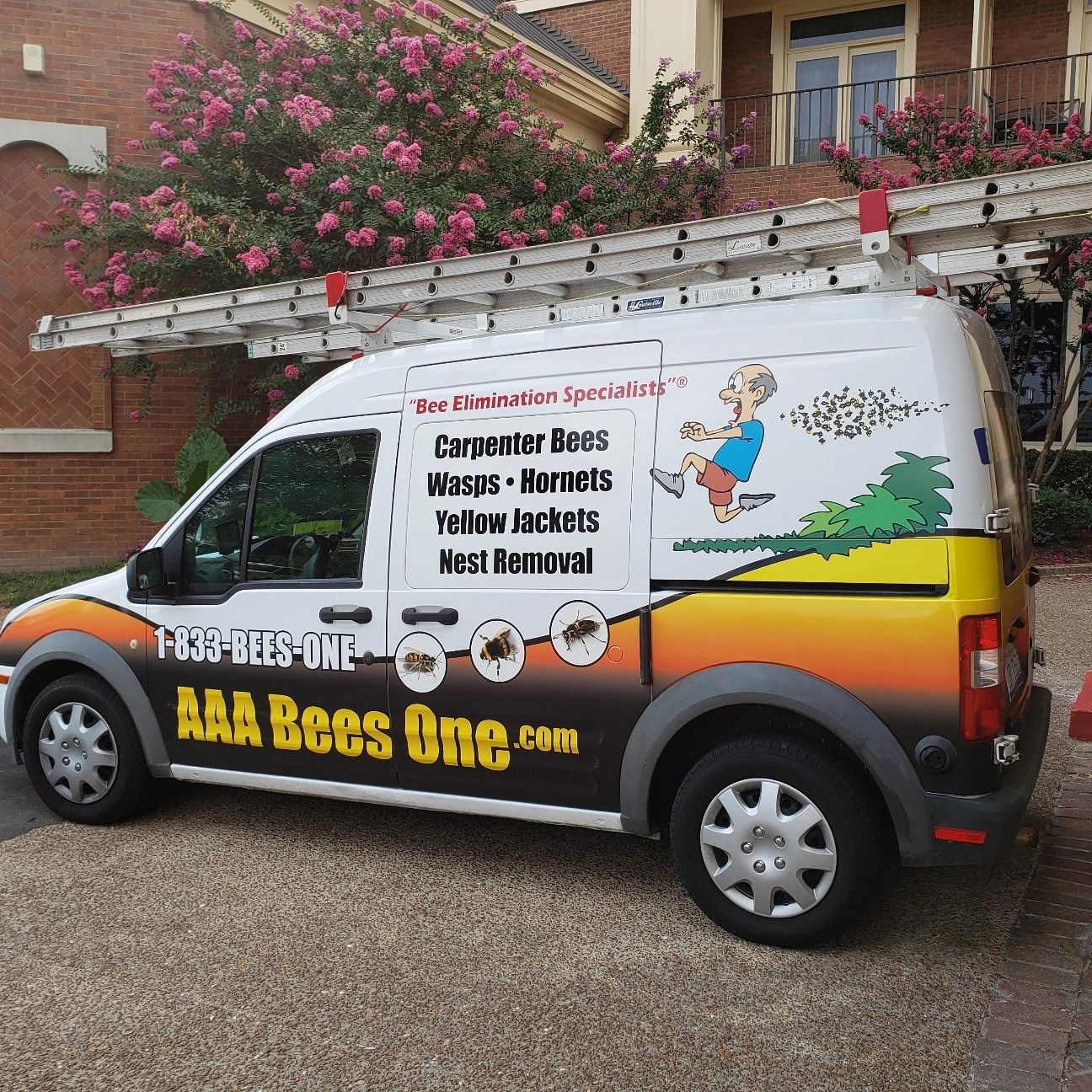 Gallery image 1 — carpenter bee service Cumberland