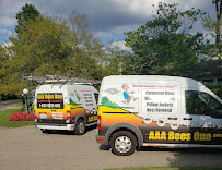 Gallery image 6 — carpenter bee service Cumberland