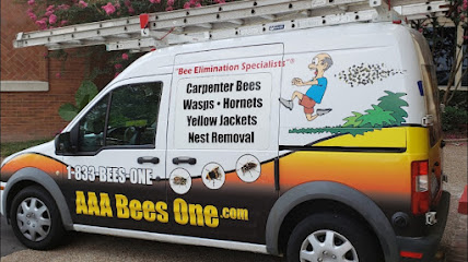 carpenter bee service Cumberland