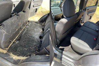 Gallery image 8 — ceramic coating service Austin