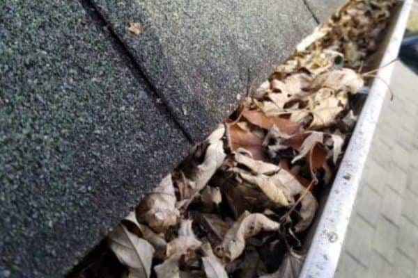 Gallery image 8 — window cleaning in Glendale AZ