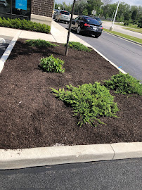 irrigation system installation V&V Landscaping inc.