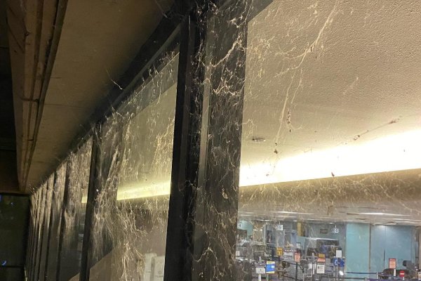 Gallery image 6 — affordable window cleaning Paradise Valley