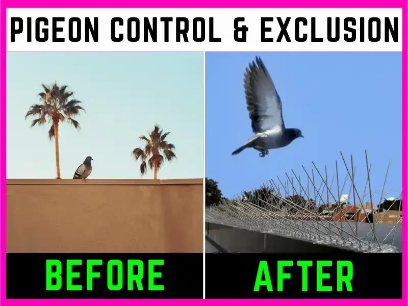 Gallery image 2 — concrete cleaning Glendale