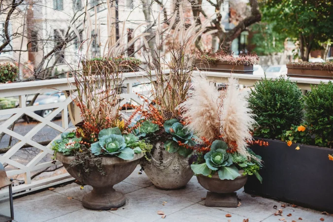 best landscape architect Oak Park