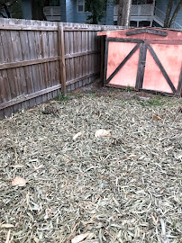 construction debris removal in Revis Junk Removal LLC