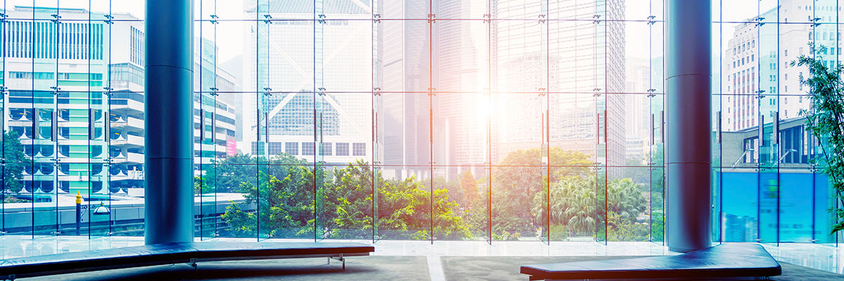 Gallery image 4 — real estate window washing Anthem