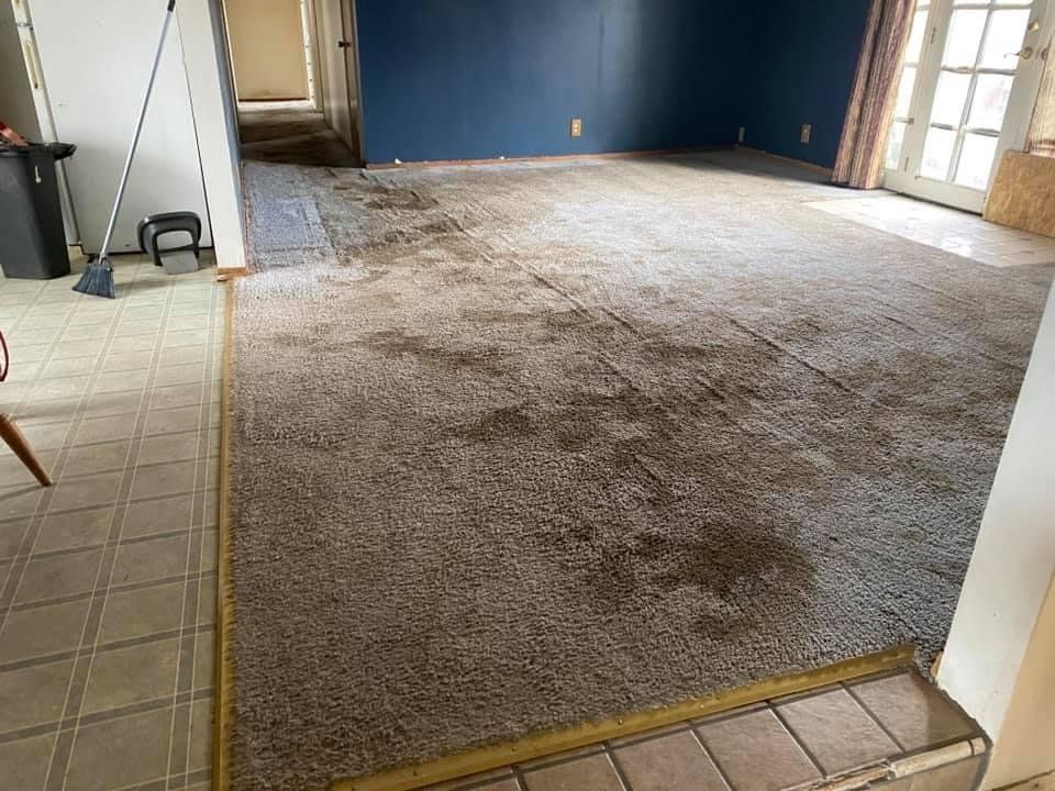 Gallery image 4 — vinyl floor cleaning San Diego