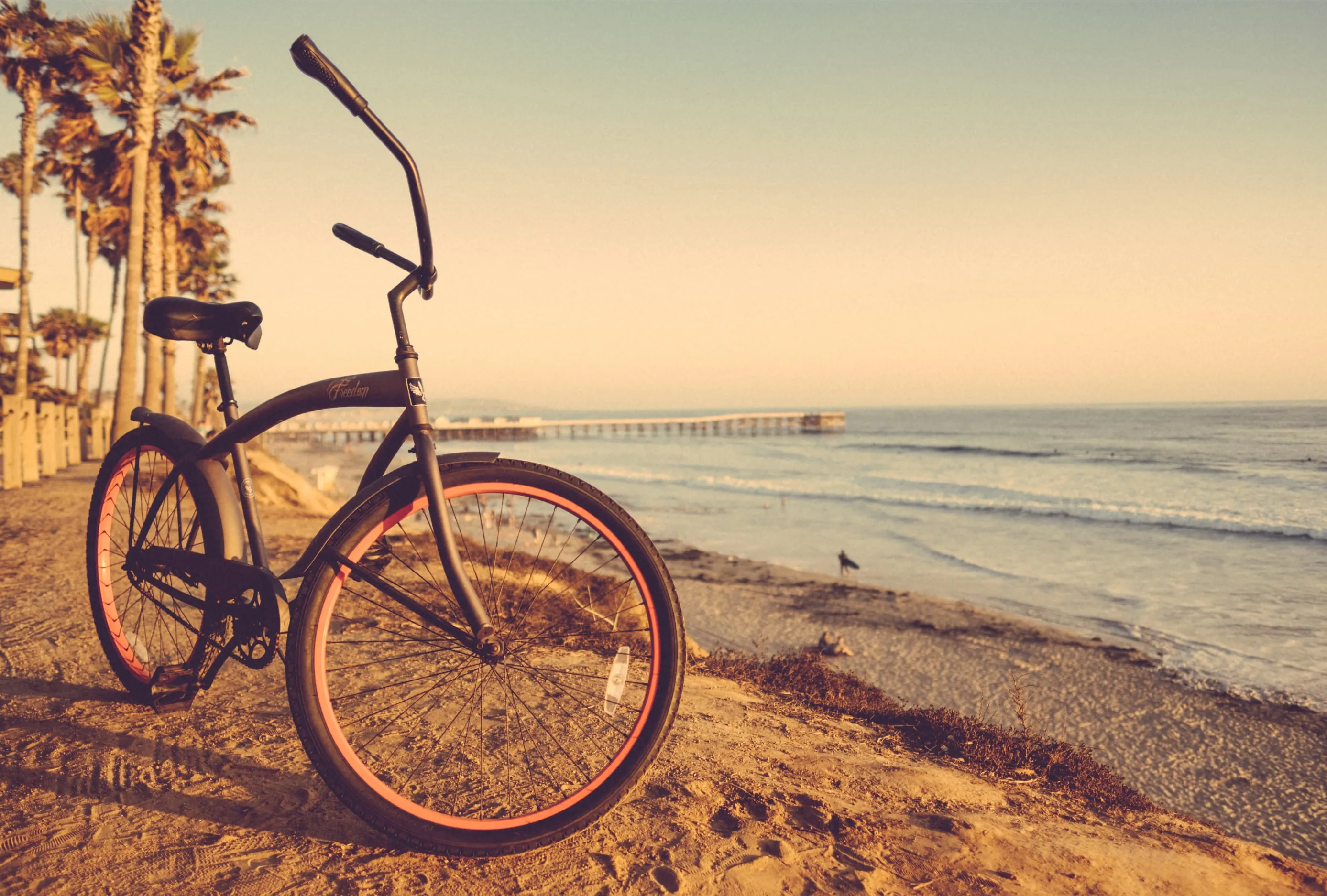 pest control in San Ysidro