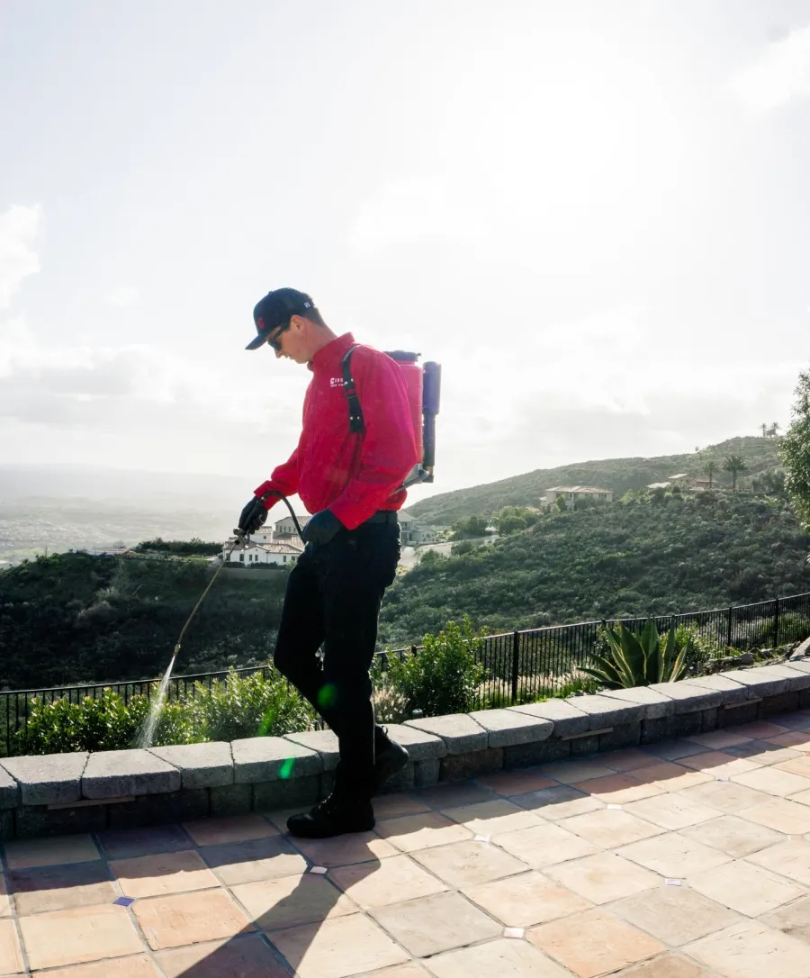 About gopher control San Diego