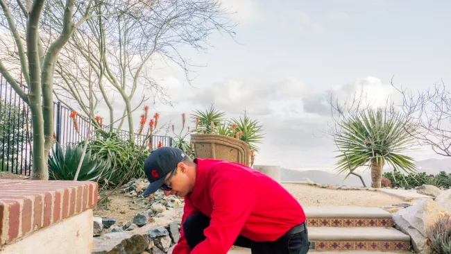 Gallery image 6 — pest control San Diego