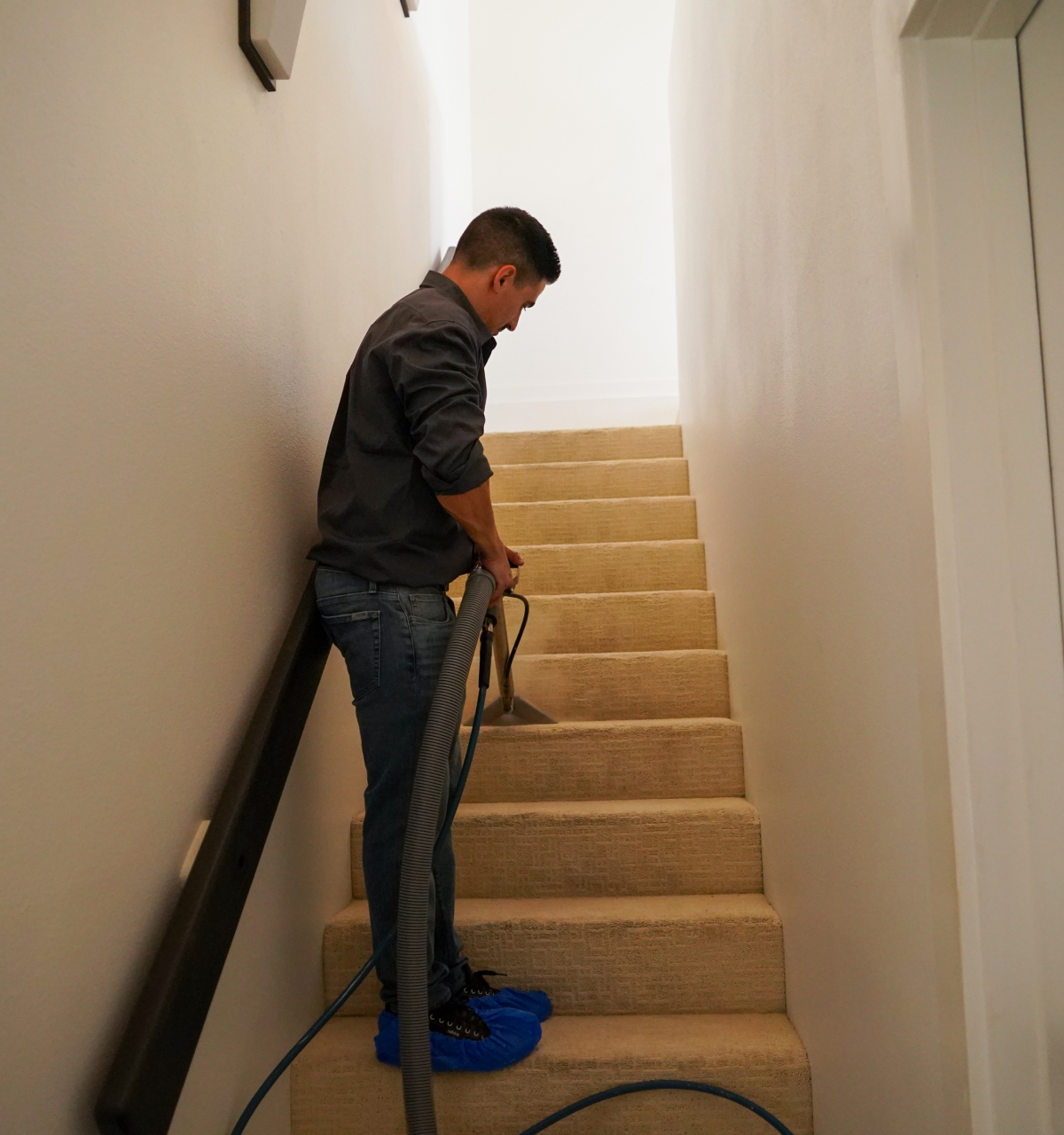 carpet stain removal San Diego