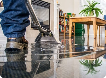 Gallery image 8 — carpet cleaning San Diego