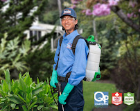 Gallery image 6 — emergency pest control San Diego