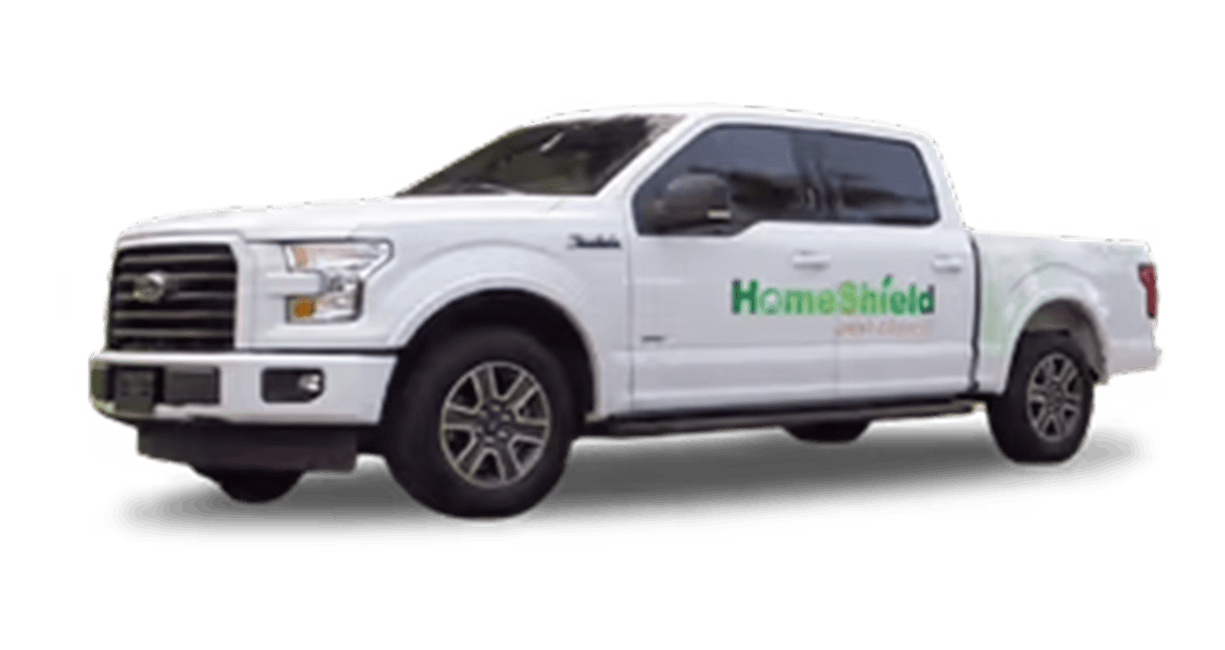 Gallery image 4 — mosquito control in Orange County