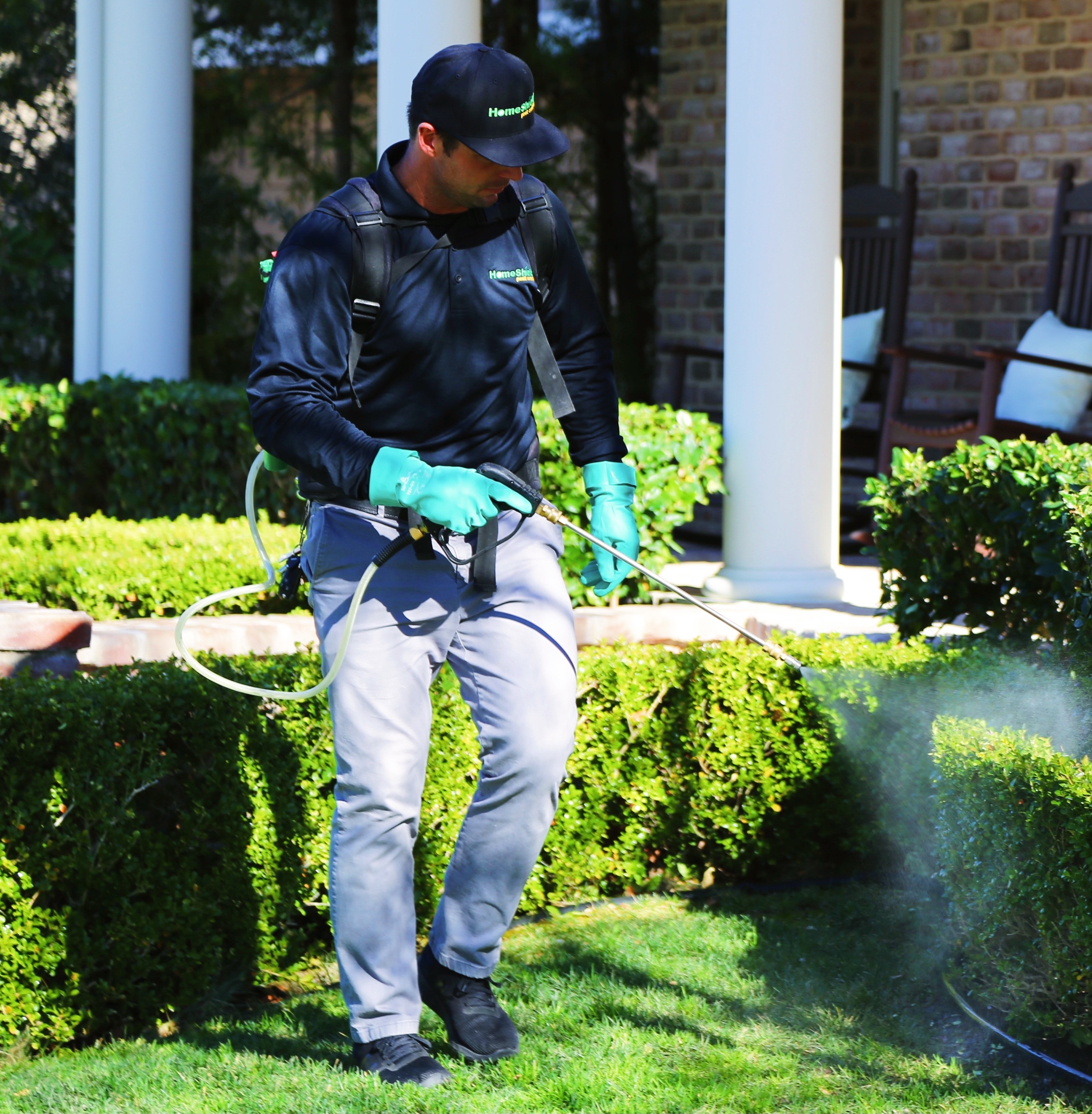 Gallery image 8 — mosquito control in Orange County