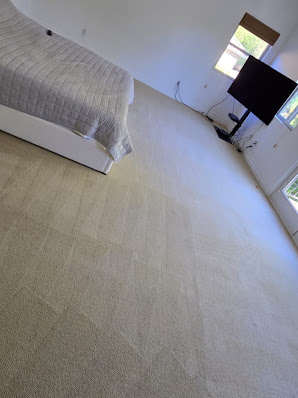 About professional carpet cleaners downtown San Diego
