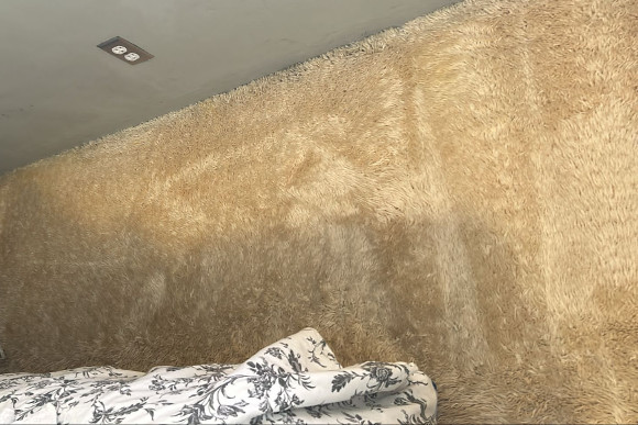 professional carpet cleaners downtown San Diego