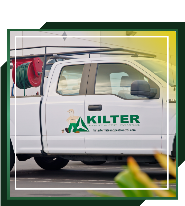 Gallery image 6 — termite control in Orange County