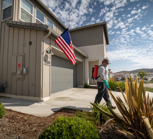 mosquito control Santee