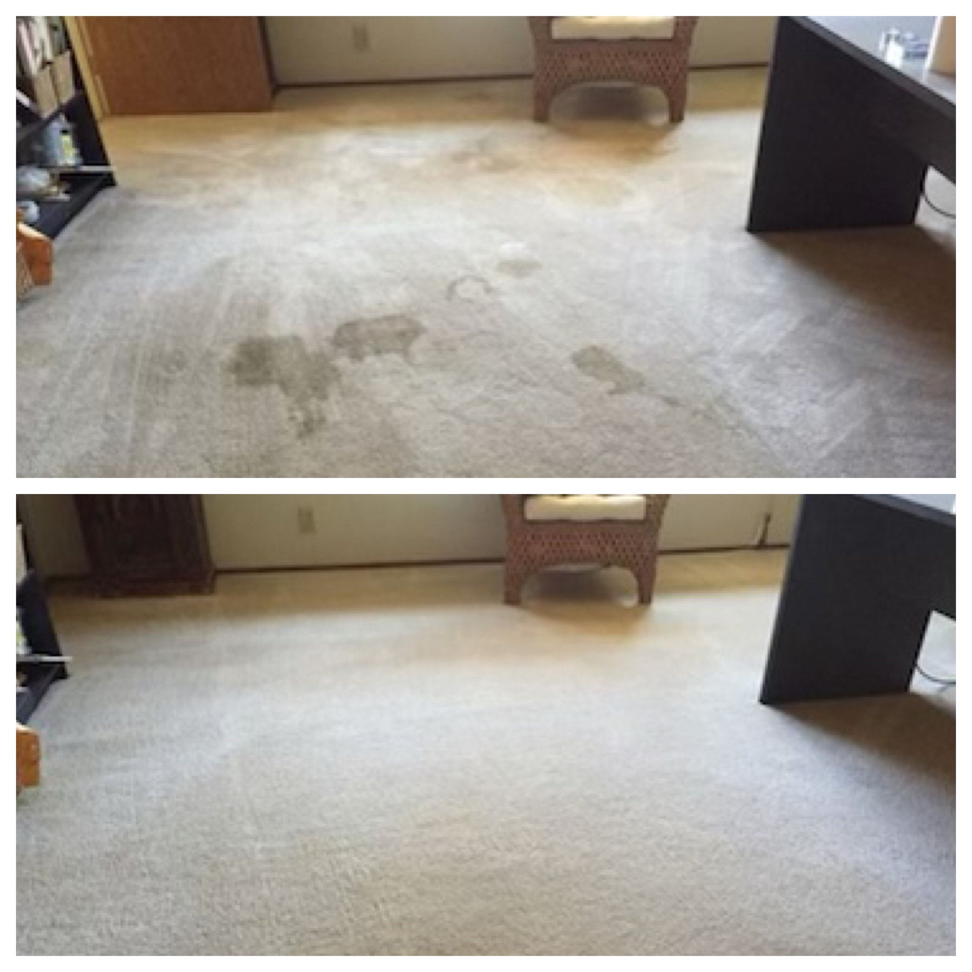 Gallery image 1 — commercial carpet cleaning near me