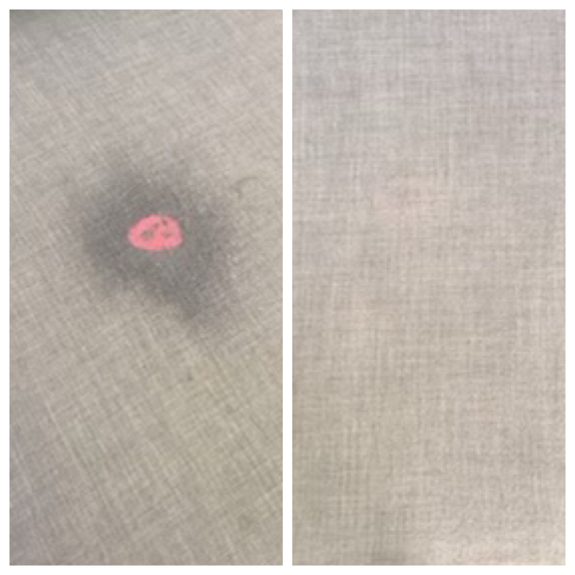 Gallery image 5 — commercial carpet cleaning near me