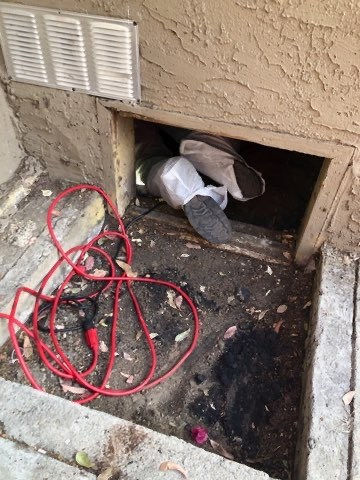 Gallery image 5 — attic restoration San Diego