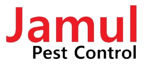 affordable pest control San Diego
