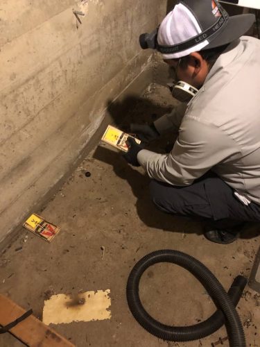 Gallery image 2 — affordable pest control San Diego