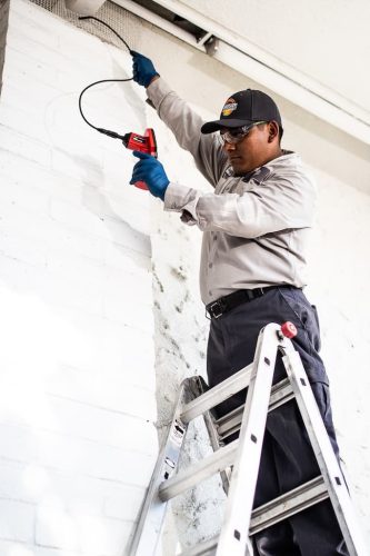 Gallery image 7 — affordable pest control San Diego