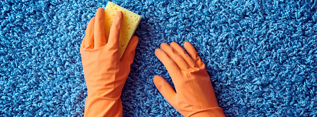 carpet stain removal San Diego