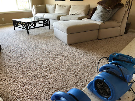 Gallery image 2 — upholstery cleaning San Diego