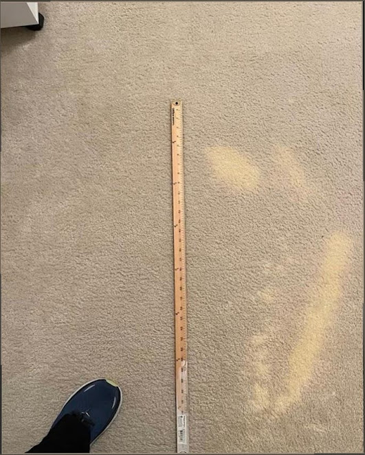 carpet cleaning San Diego