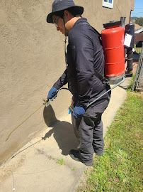 About pest control in San Diego