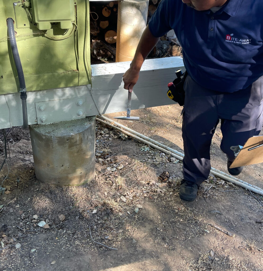 Gallery image 4 — commercial pest control San Diego