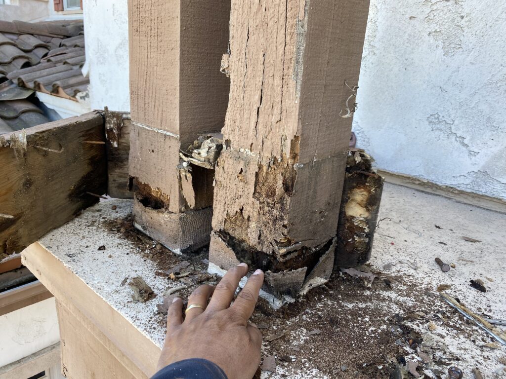 commercial pest control San Diego