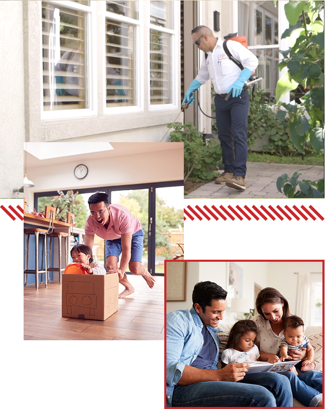 residential pest inspection San Diego