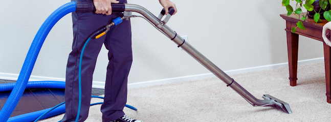 allergen removal carpet cleaning San Diego