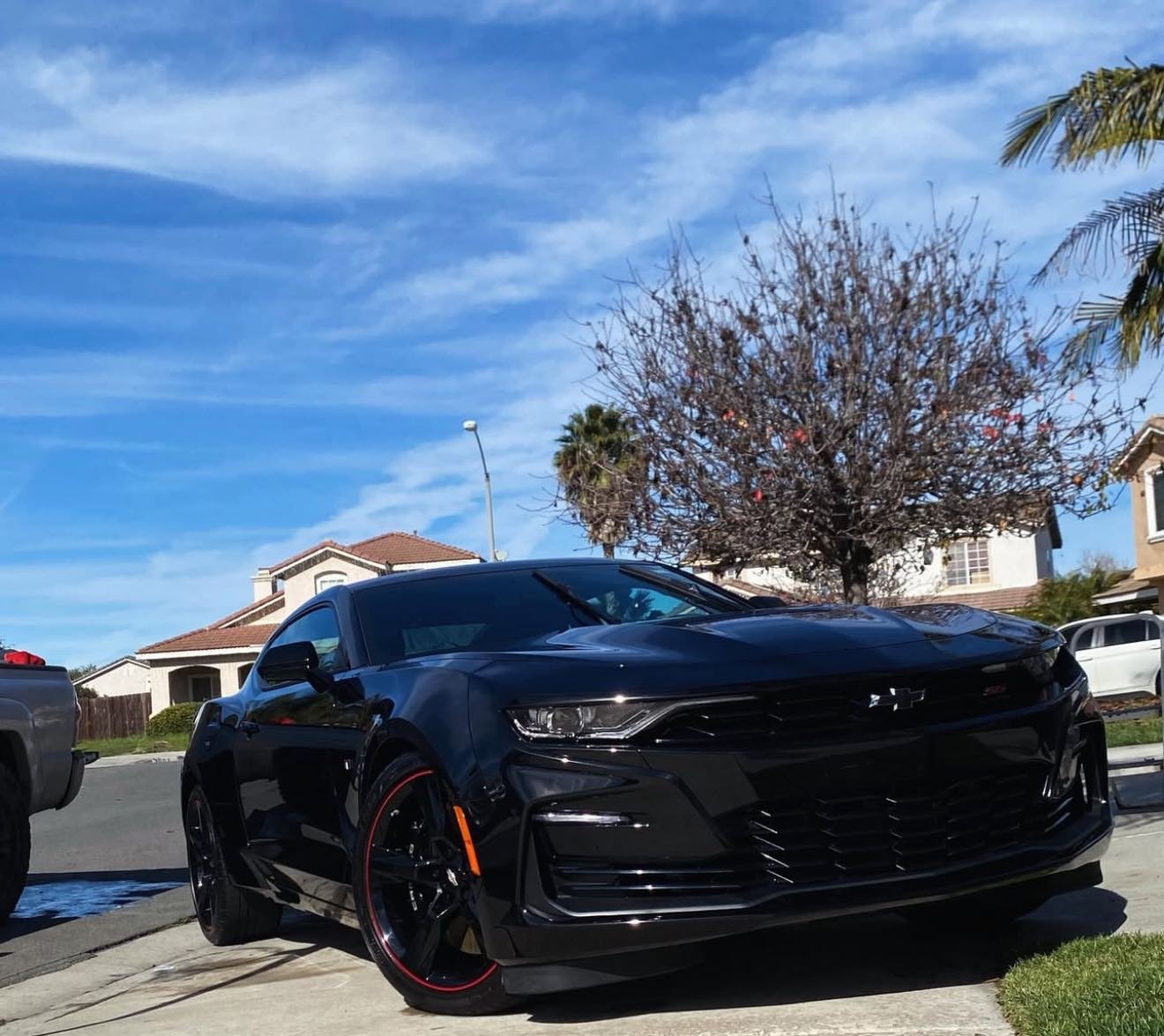 leather protection service Imperial Beach