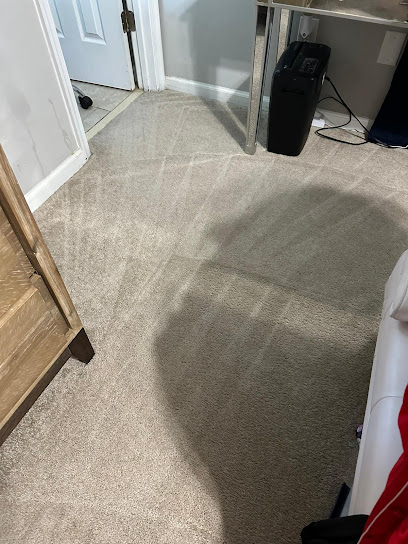 About hot water extraction carpet cleaning near me