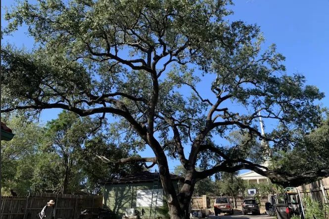 Gallery image 5 — artificial turf installation Canyon Lake
