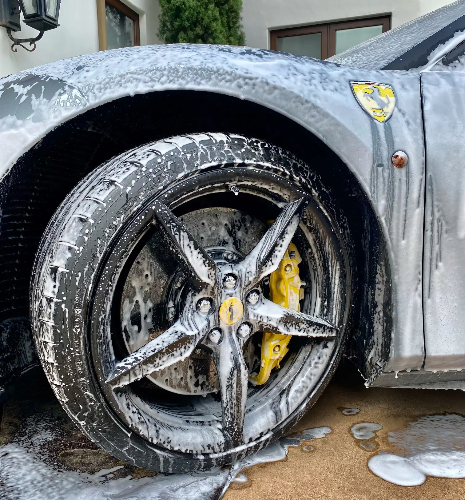 Gallery image 1 — exotic car detailing San Diego