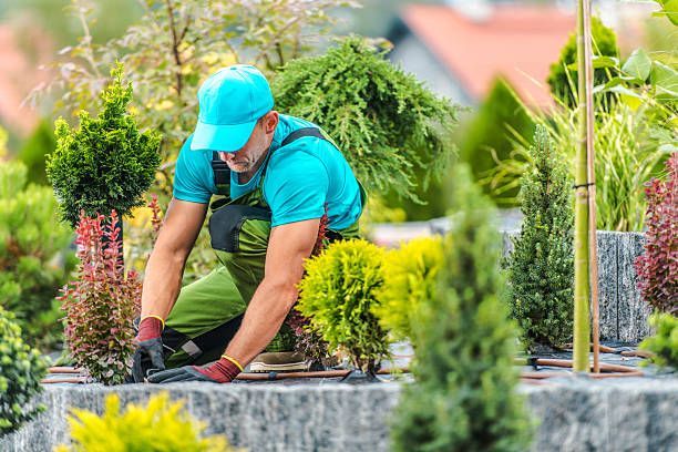 Gallery image 6 — irrigation repair in Bexar County