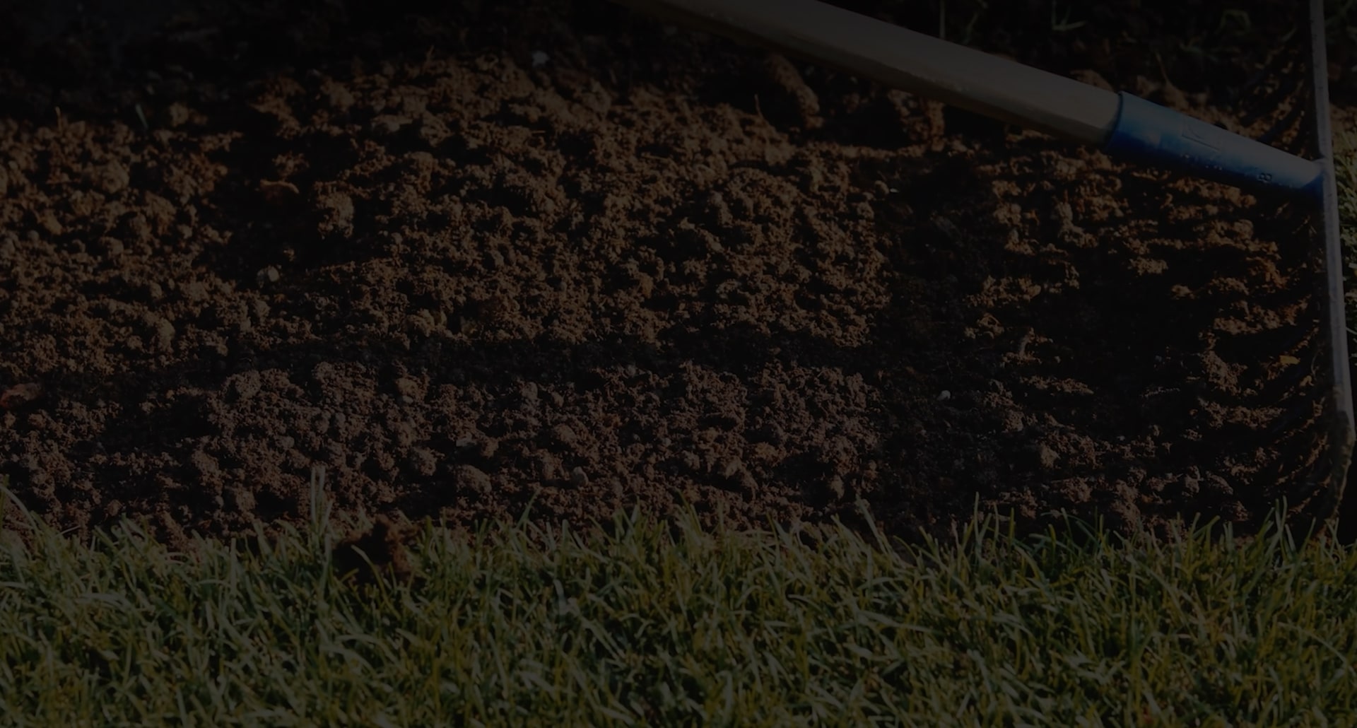 tree trimming and pruning near me